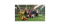 Tennisclub Rosenthal 1985 e.V. 
